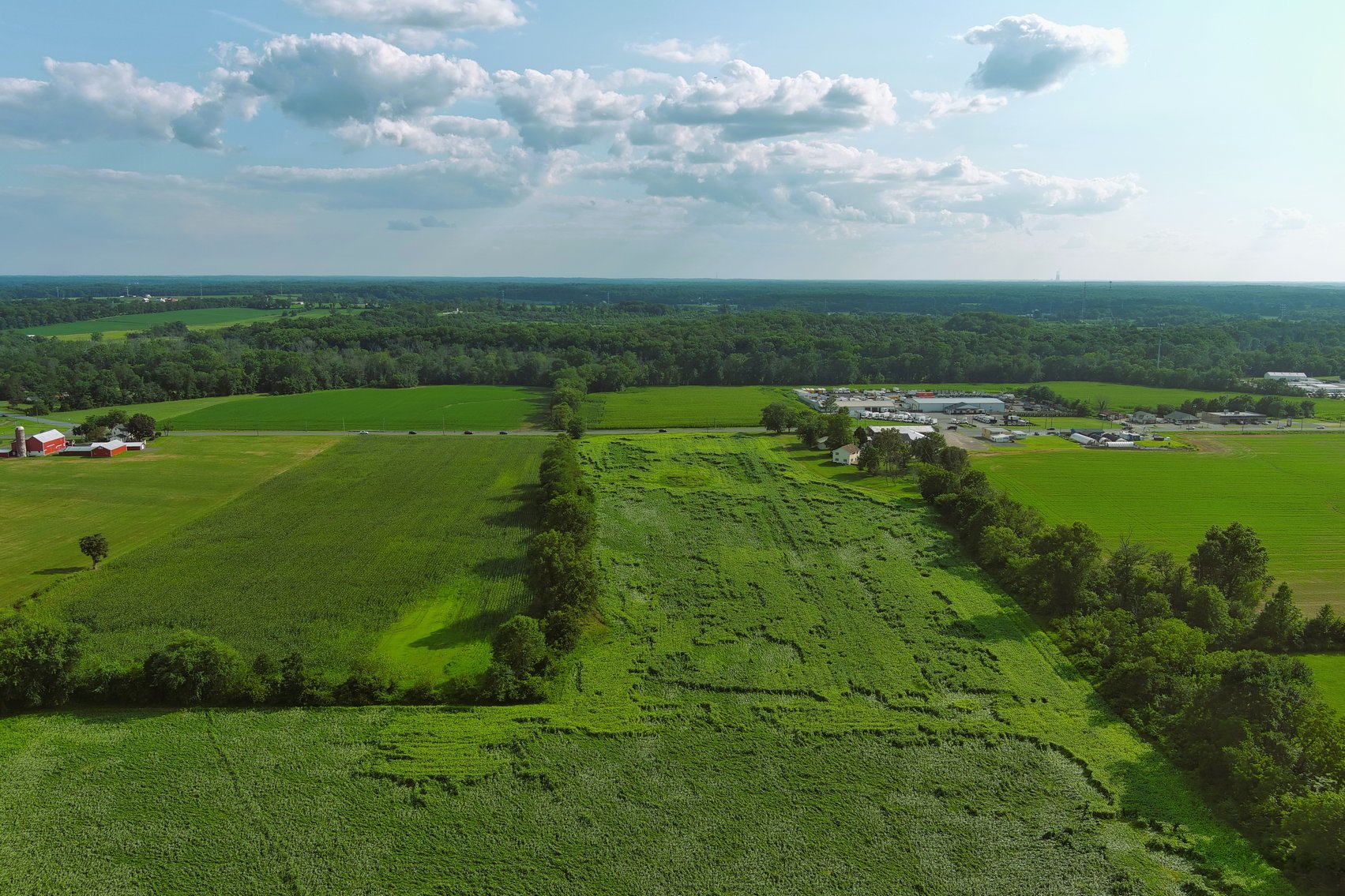 Image for 55.25 +/- Acres with 406 +/- Feet Road Frontage on Route 40 in Pilesgrove