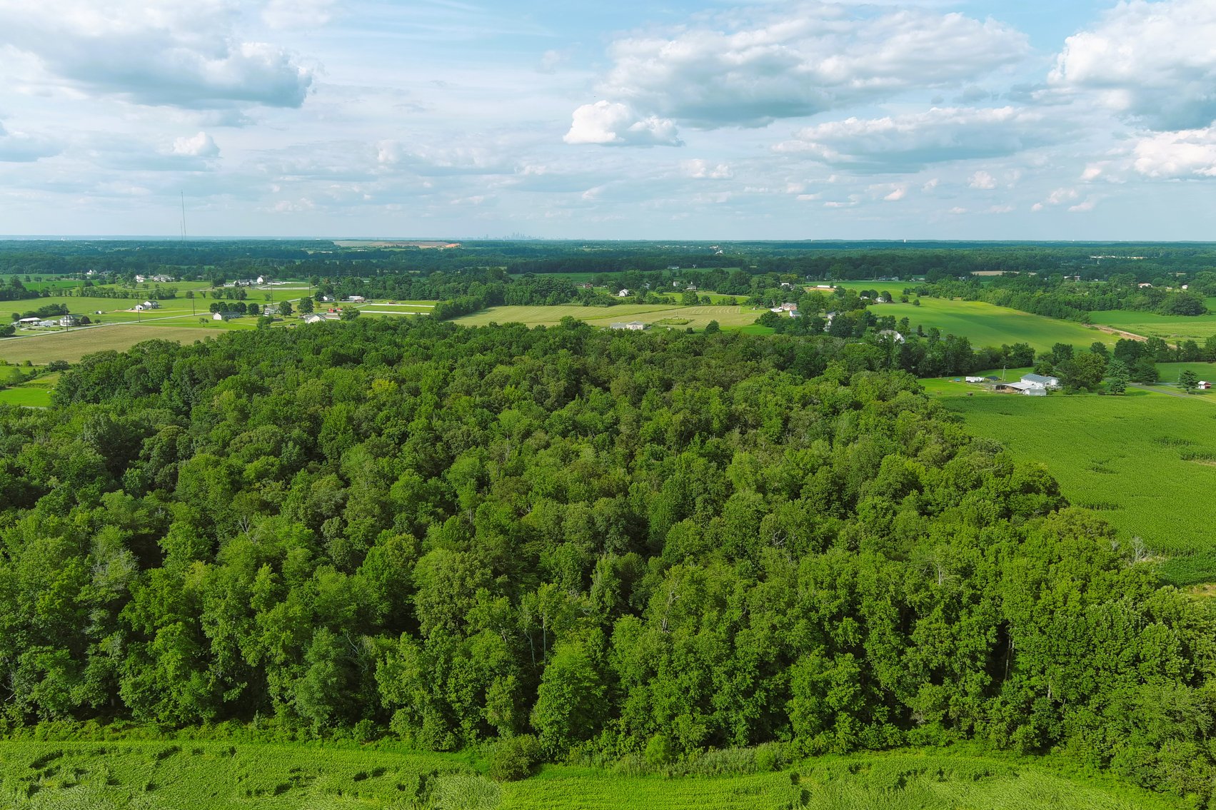 Image for 55.25 +/- Acres with 406 +/- Feet Road Frontage on Route 40 in Pilesgrove