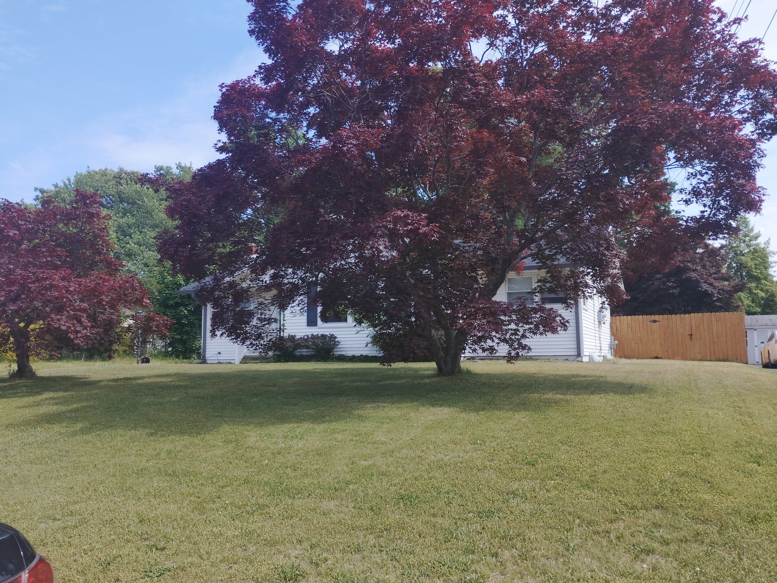 Image for 3 BR 1 Bath 1,151 +/- SF Home Available in Bridgeton