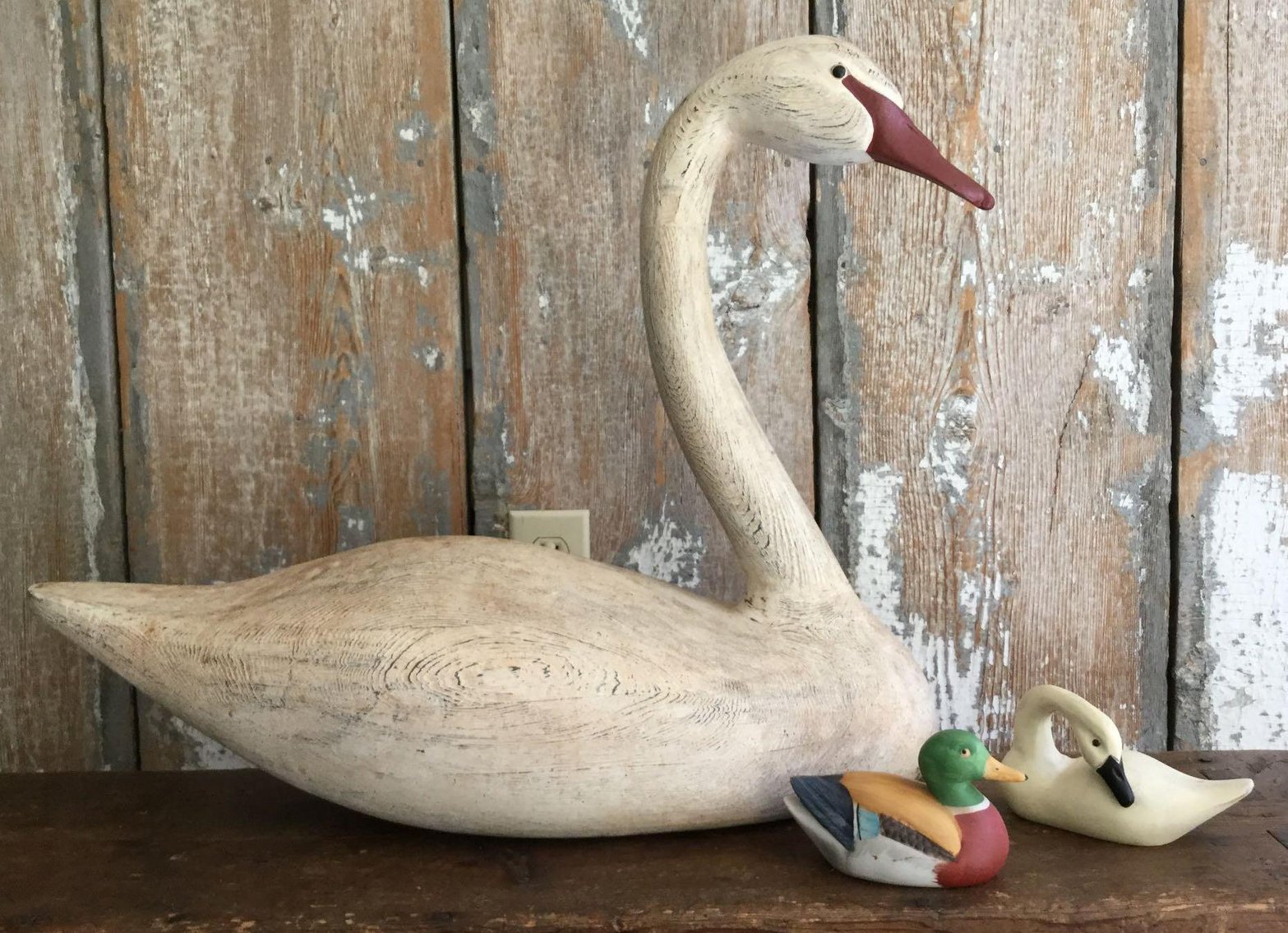 Image for Decoy & Decoratives