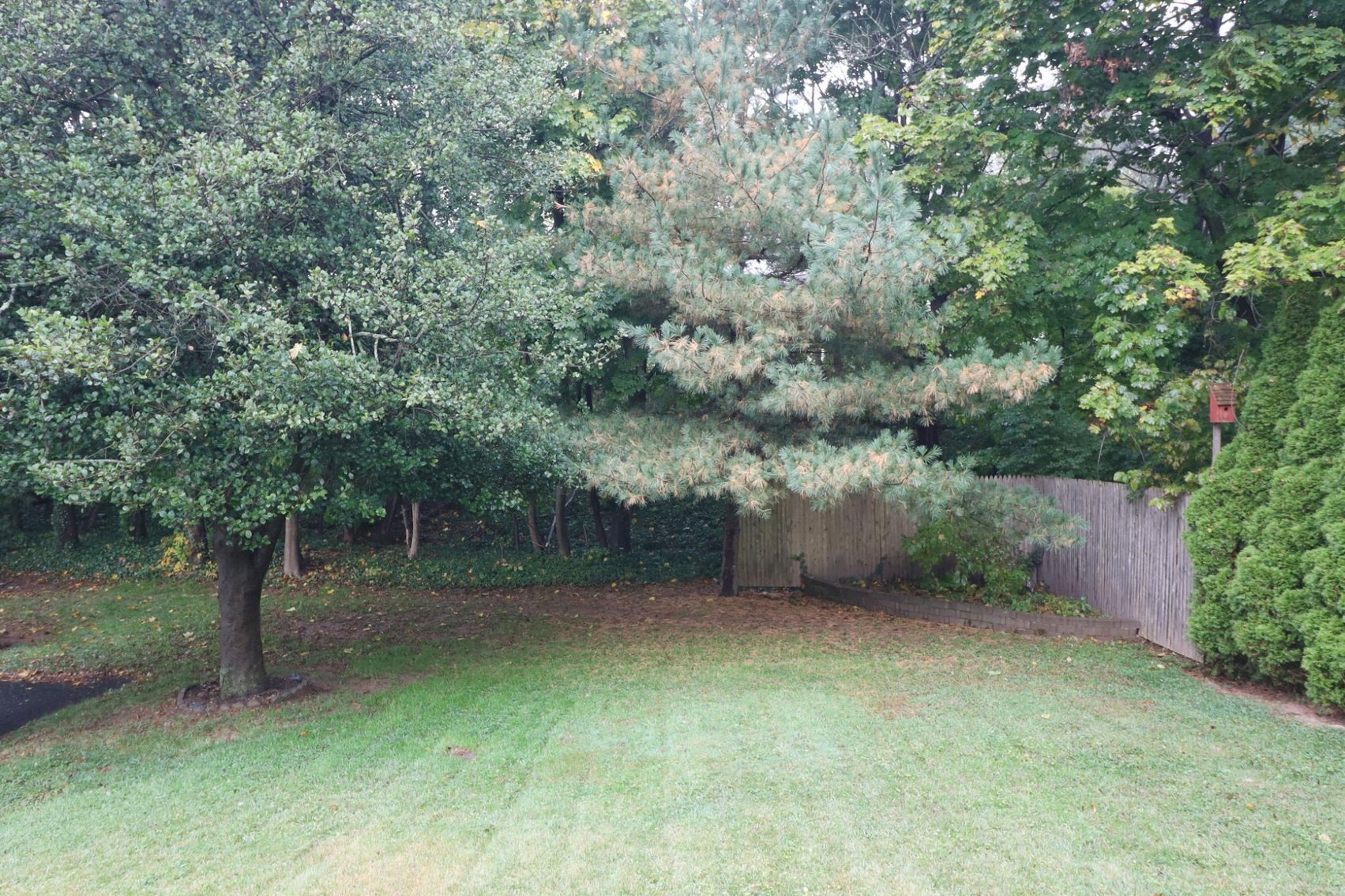 Image for Sold! Real Estate | 141 W. Cherry Ln., Souderton, Pa. 18964 | November 17, 2022 @ 4:00 PM