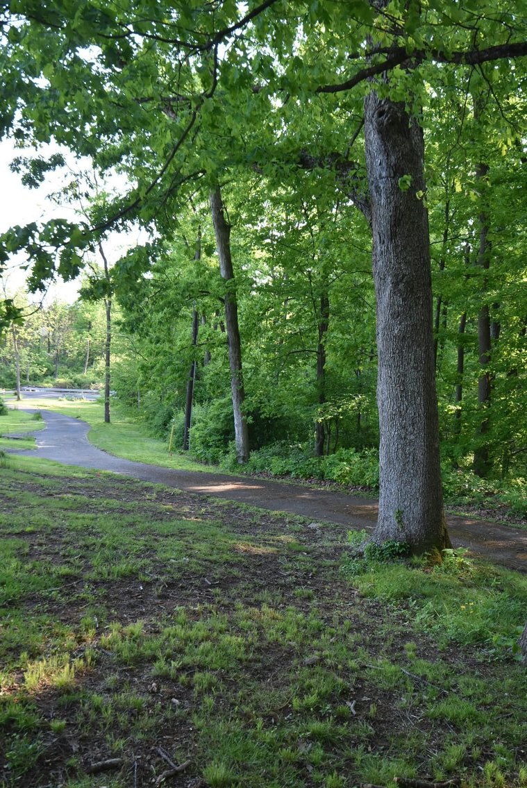 Image for Sold! Real Estate Auction | 146 S. Schultz Rd. Telford, PA 18969 | July 18, 2024 at 4:00 PM