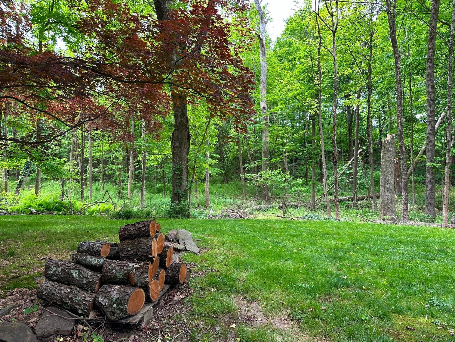 Image for Sold! Real Estate for Auction | 1032 Park Ave., Wycombe, Pa. 18980, June 13, 2024 at 4:00 PM