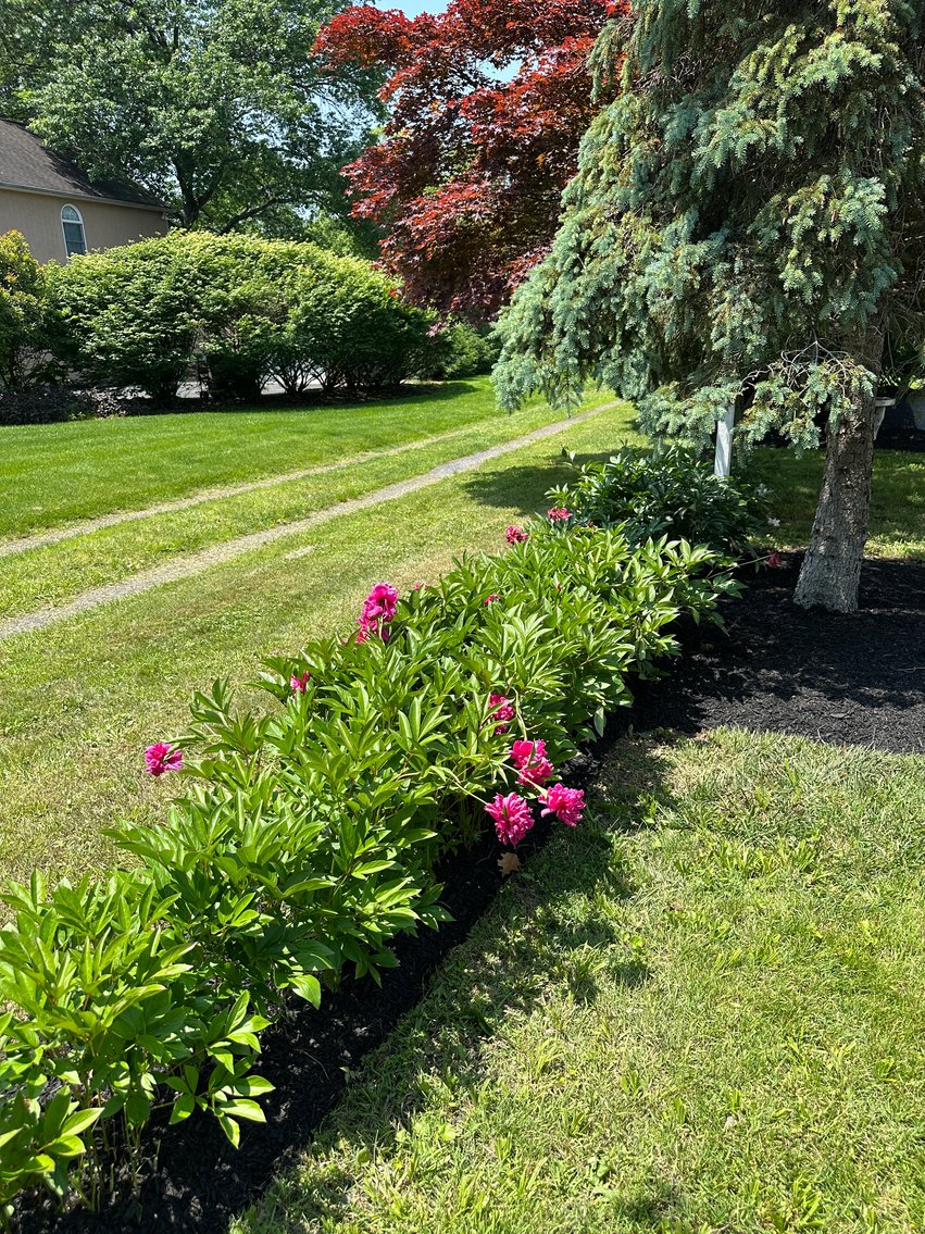 Image for Sold! Real Estate For Sale | 206 Chestnut Lane, North Wales, PA 19454