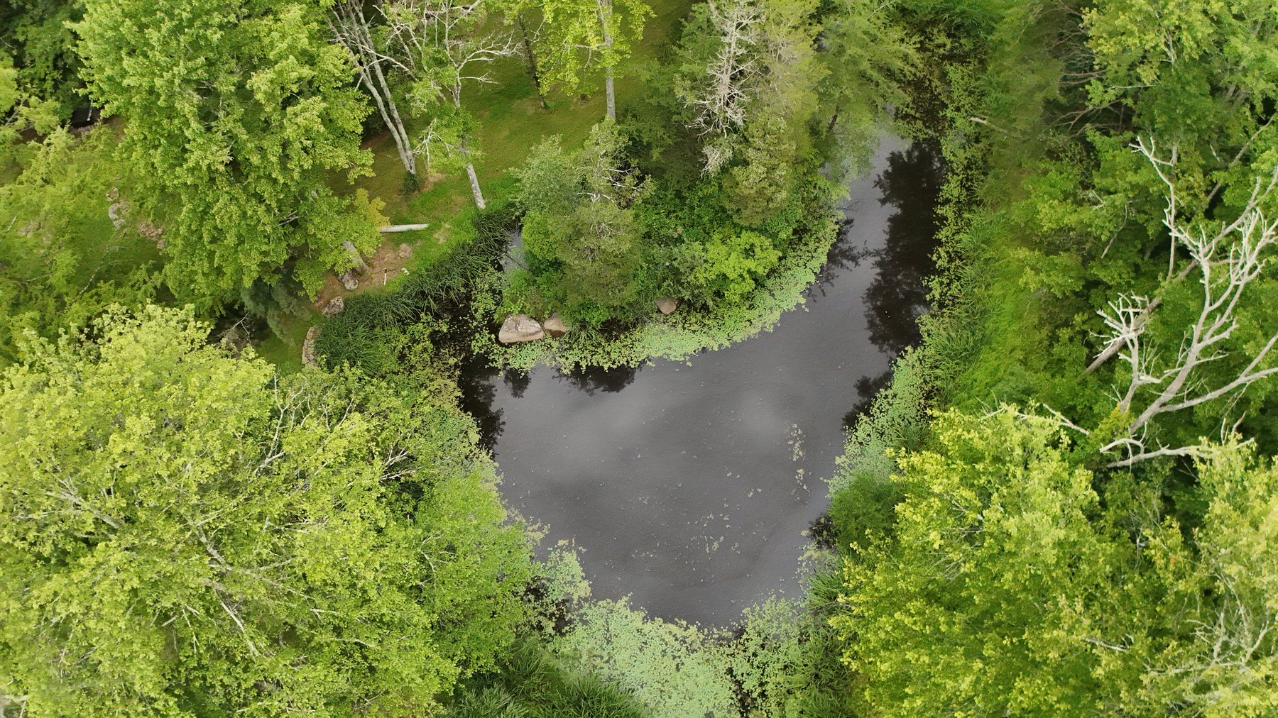 Image for Sold! Real Estate For Auction | 1286 Bridgeton Hill Rd, Upper Black Eddy, PA 18972 | September 24, 2025 at 4:00 PM