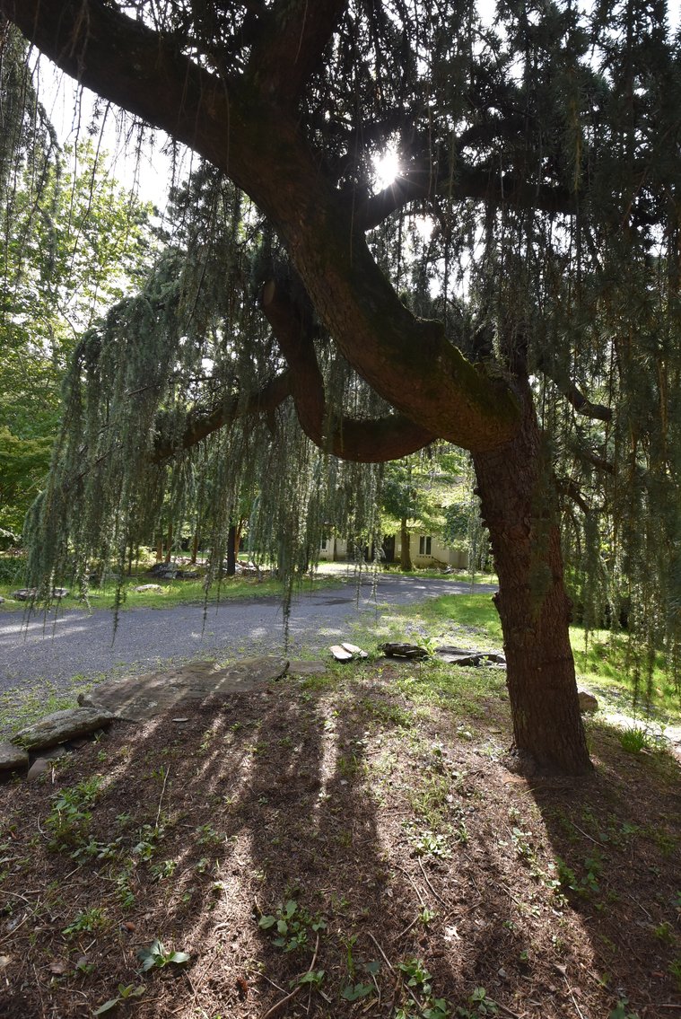 Image for Sold! Real Estate For Auction | 1286 Bridgeton Hill Rd, Upper Black Eddy, PA 18972 | September 24, 2025 at 4:00 PM