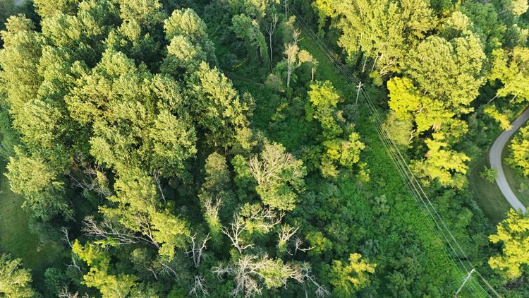 Image for Sold! Land For Auction | 554 Merlin Road, Phoenixville, PA 19460 |  September 23, 2025 at 4:00 PM