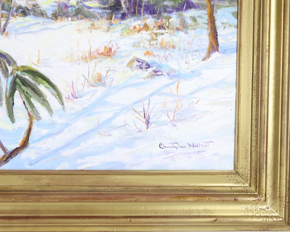 Image for Christopher G. Willett (Born 1959)