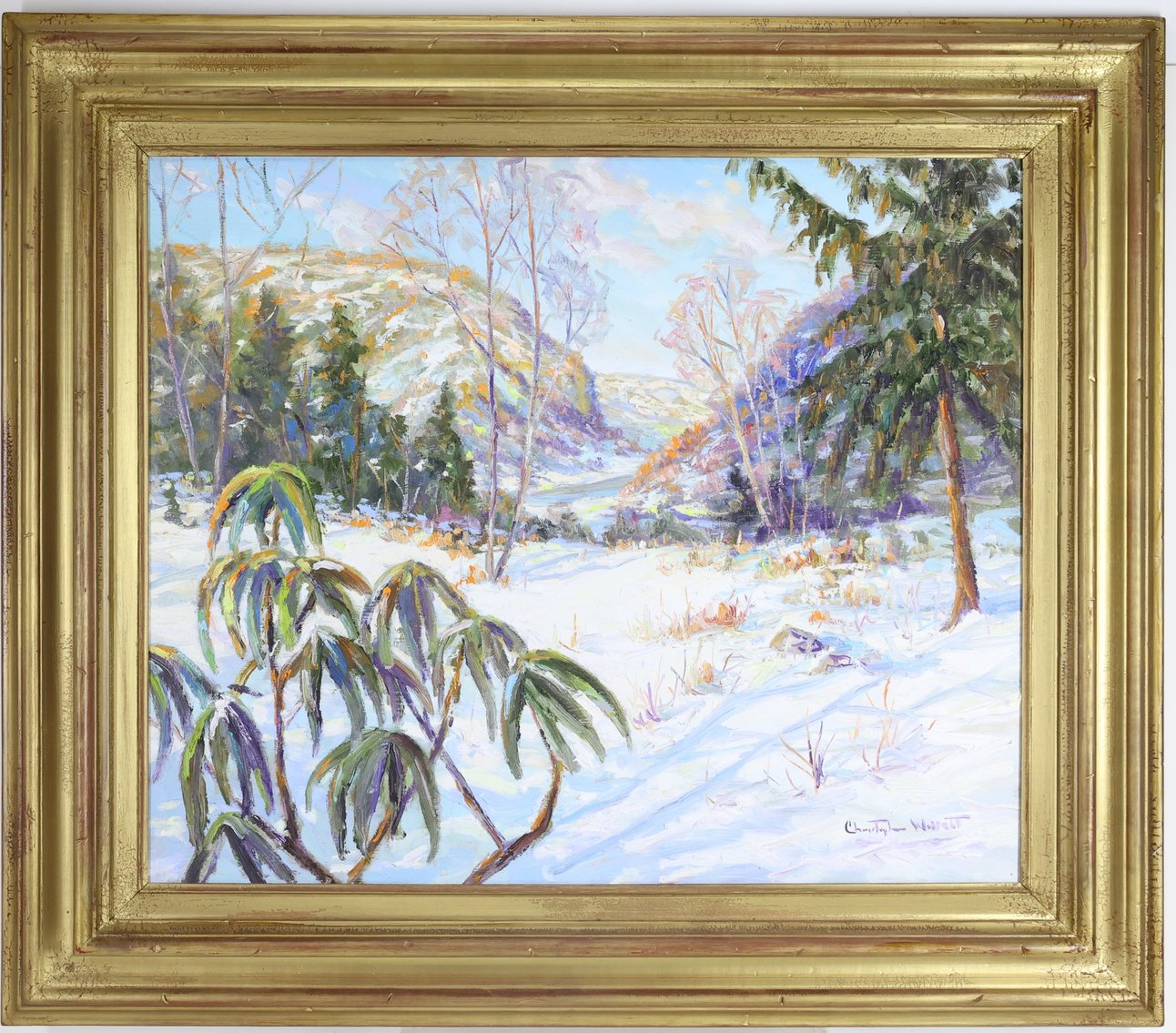 Image for Christopher G. Willett (Born 1959)