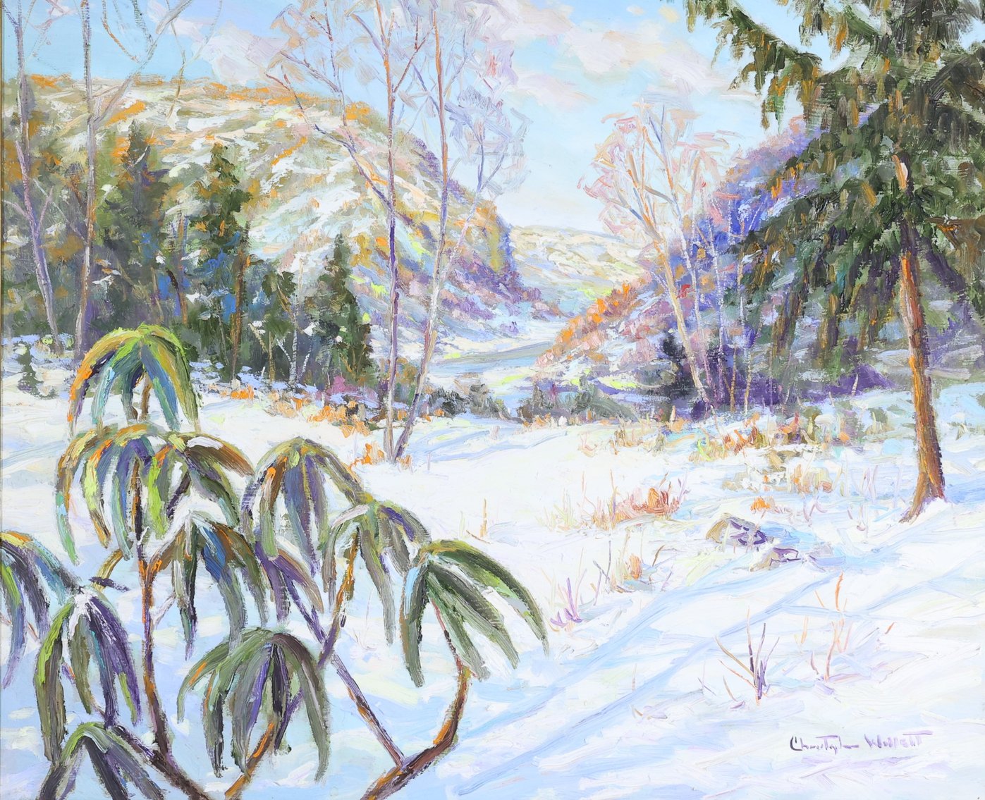 Image for Christopher G. Willett (Born 1959)