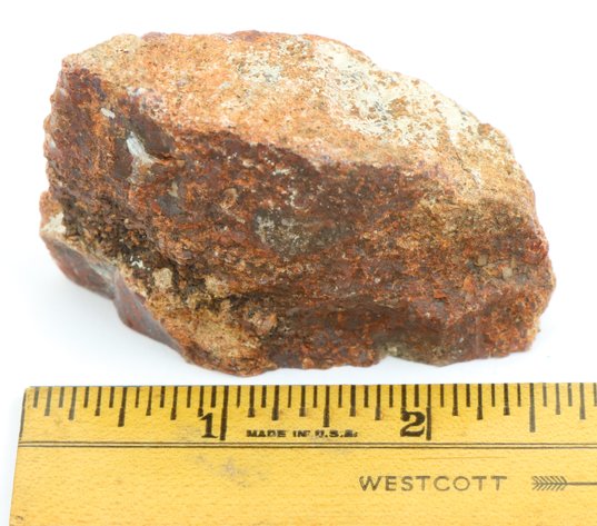 Image for Dinosaur Gembone