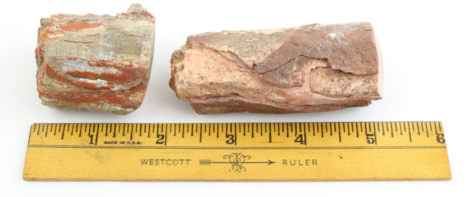 Image for Agate & Petrified Wood Assortment