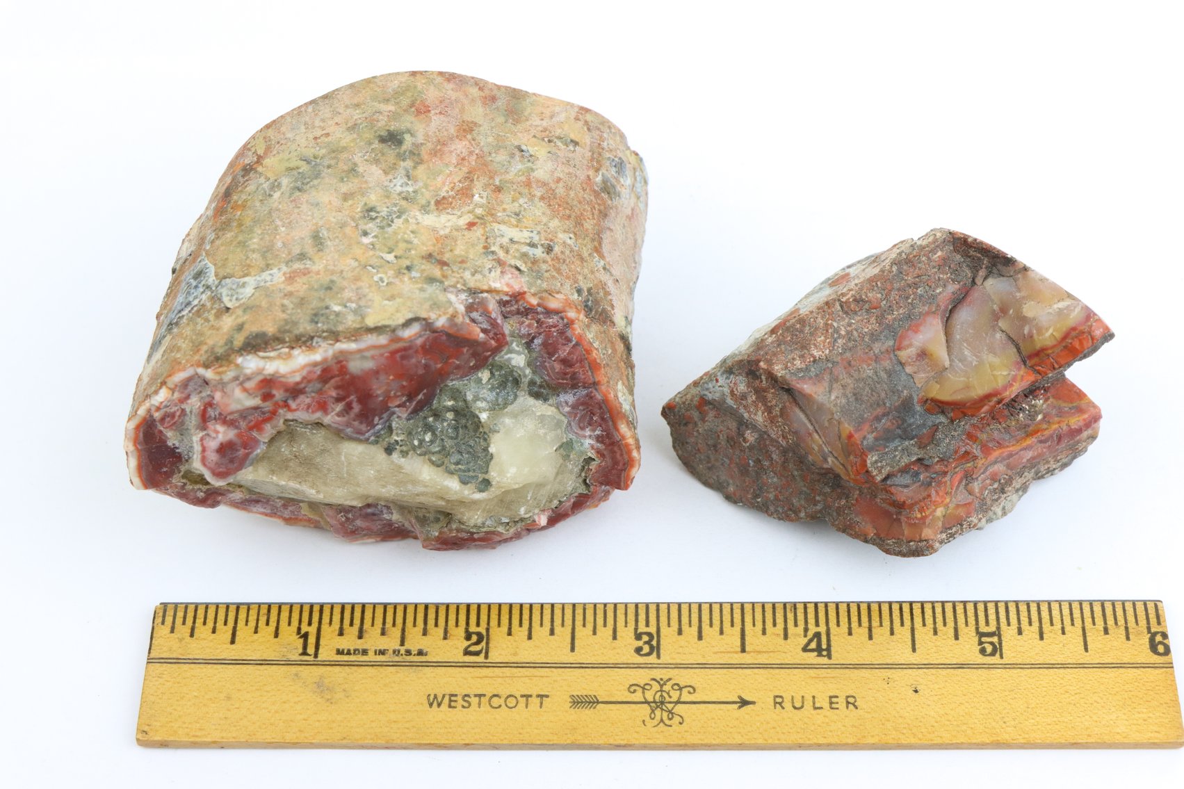 Image for Agate & Petrified Wood Assortment