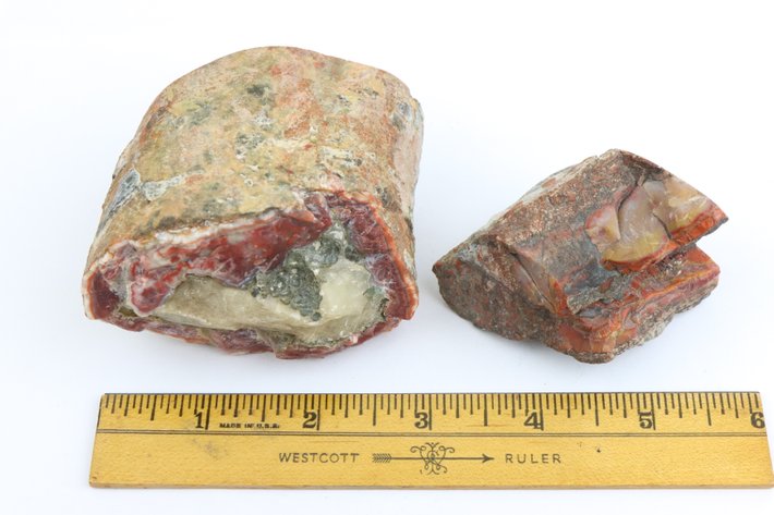 Image for Agate & Petrified Wood Assortment