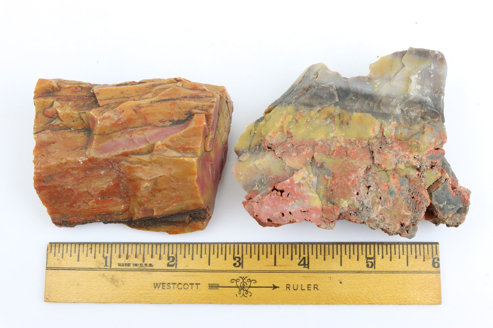 Image for Agate & Petrified Wood Assortment