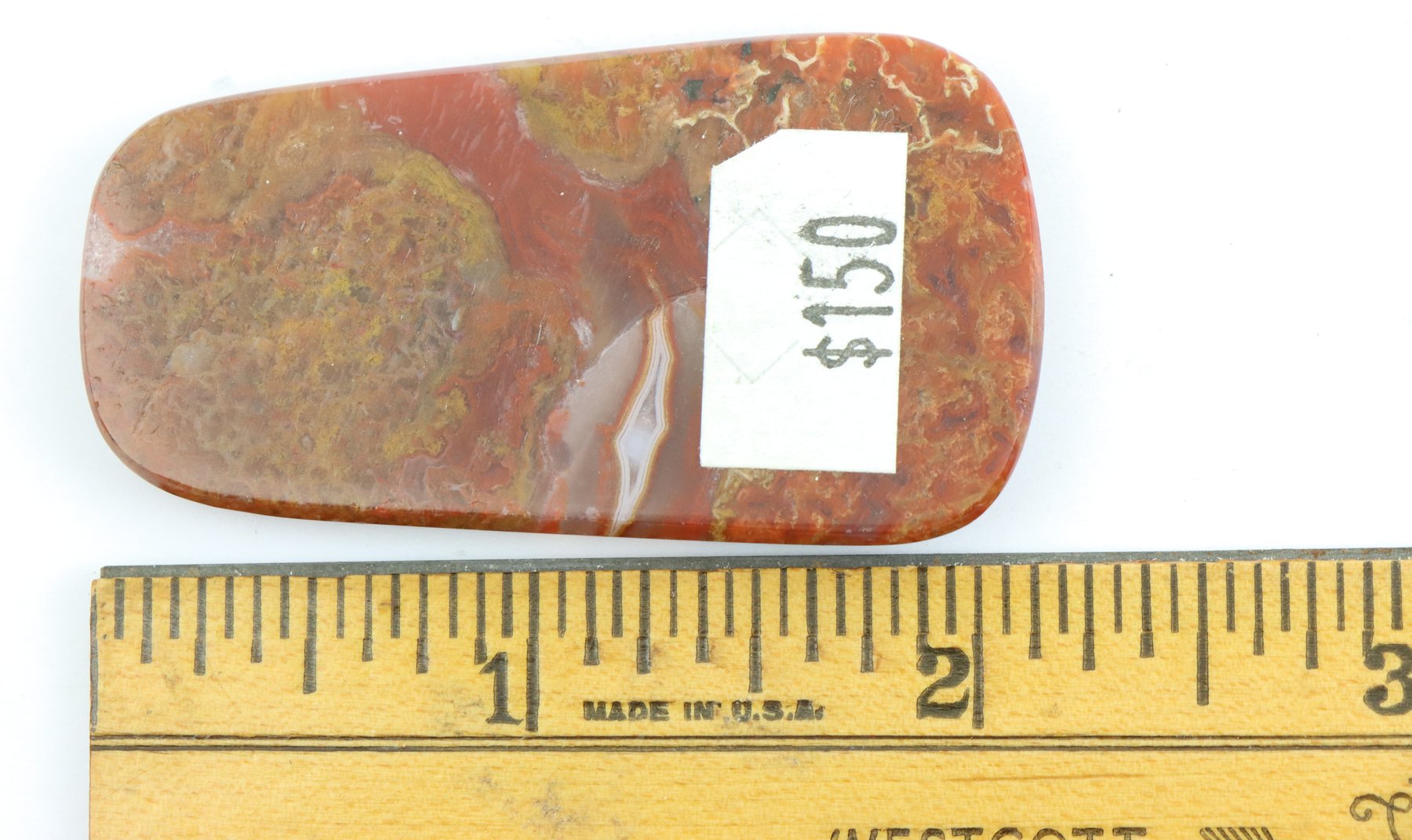 Image for Dinosaur Gembone