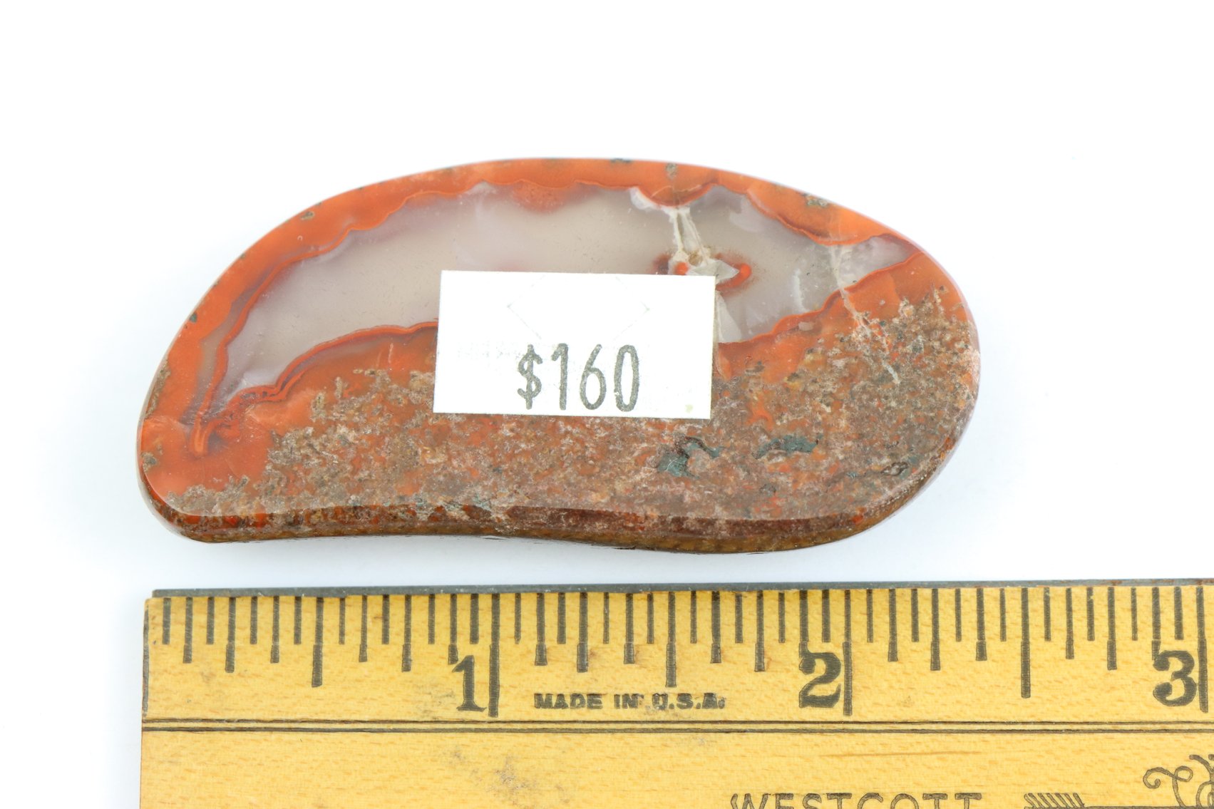 Image for Dinosaur Gembone