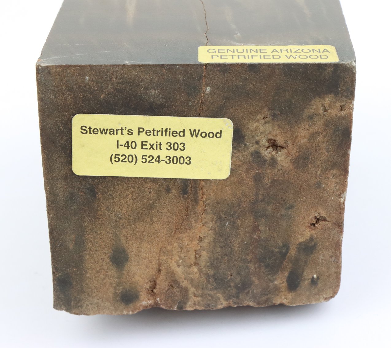Image for Petrified Wood