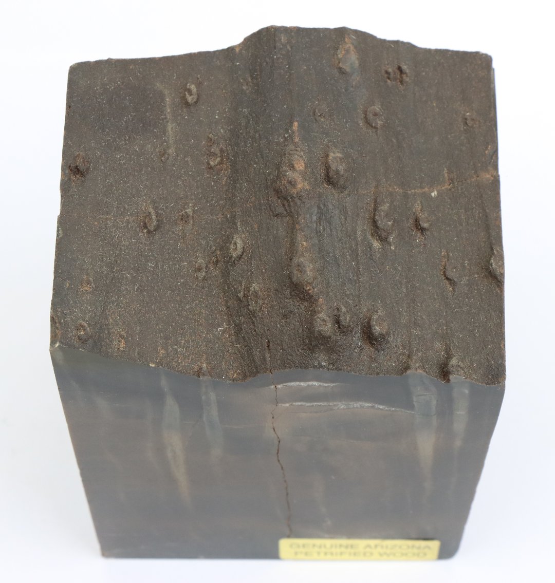 Image for Petrified Wood