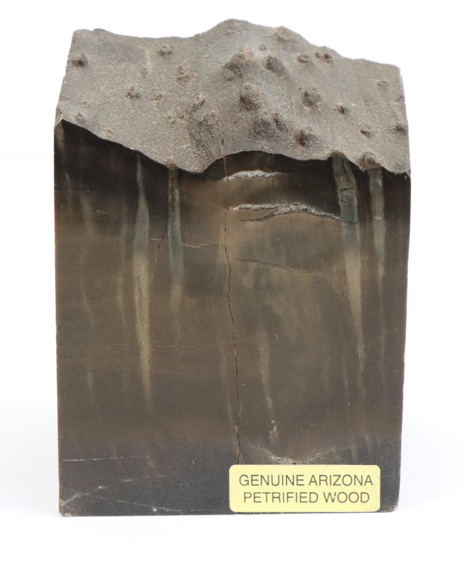 Image for Petrified Wood