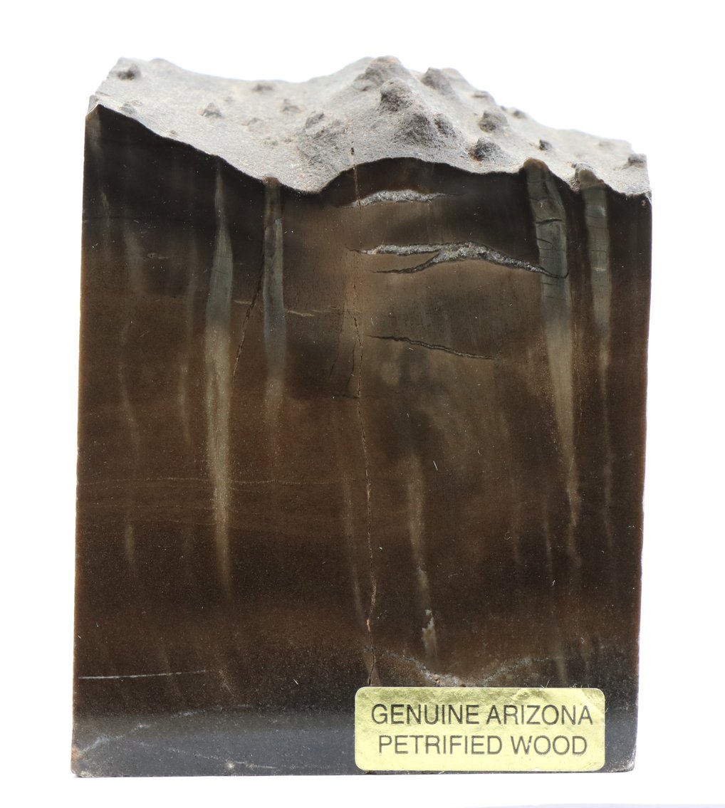 Image for Petrified Wood