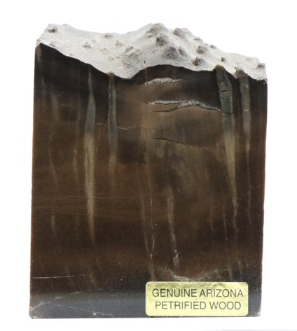 Image for Petrified Wood