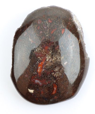 Image for Dinosaur Gembone