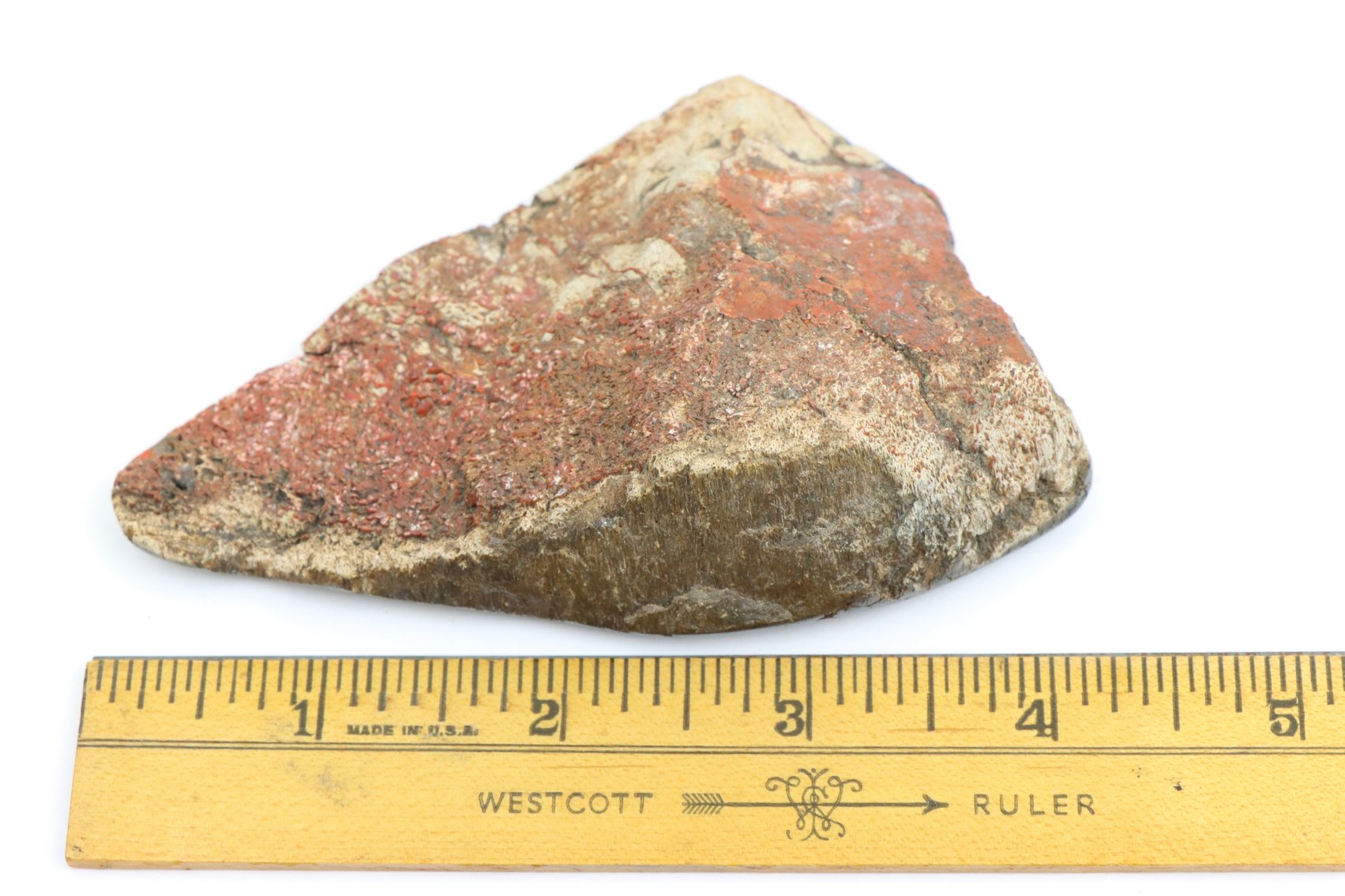 Image for Dinosaur Gembone