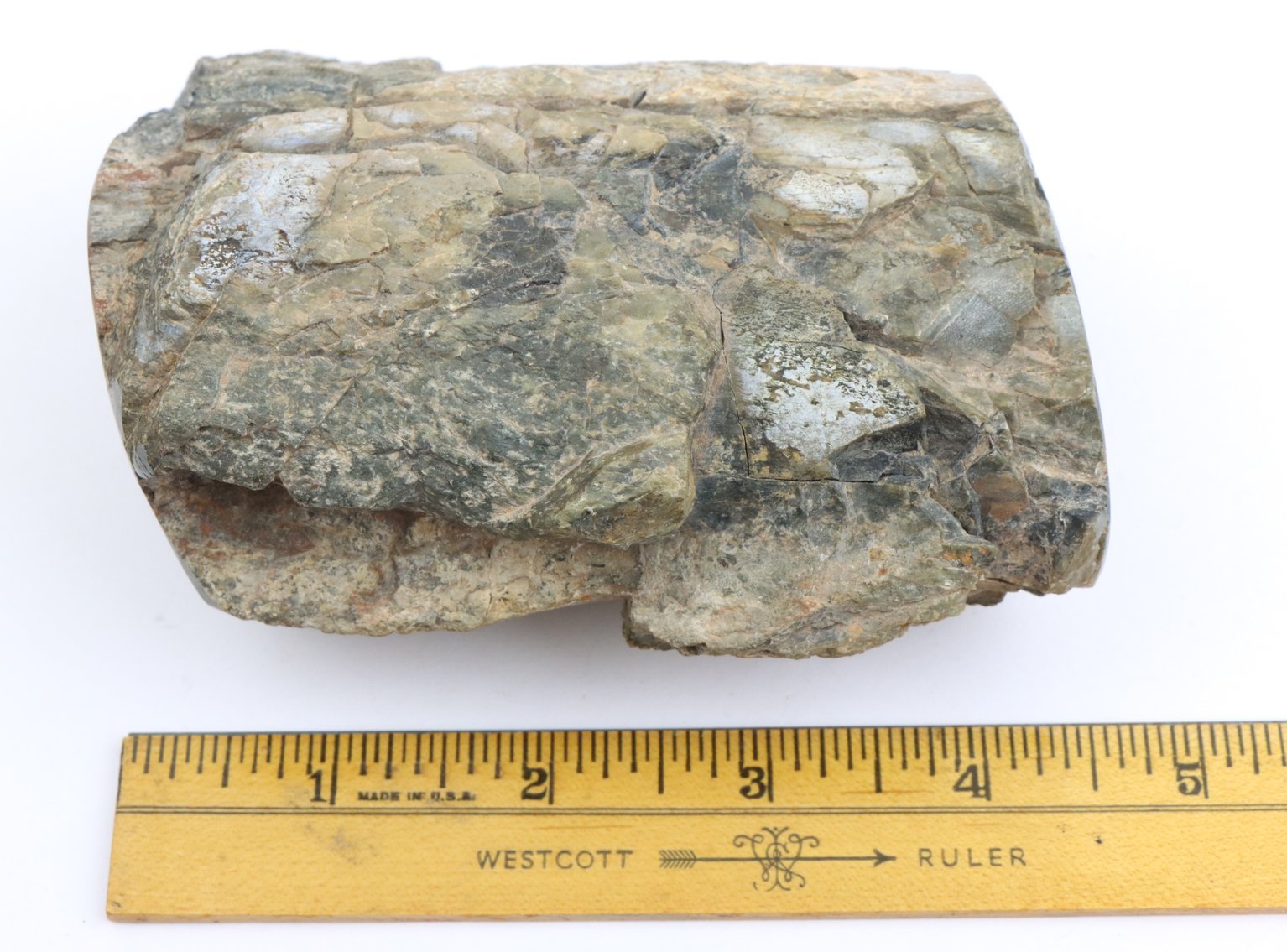 Image for Dinosaur Gembone