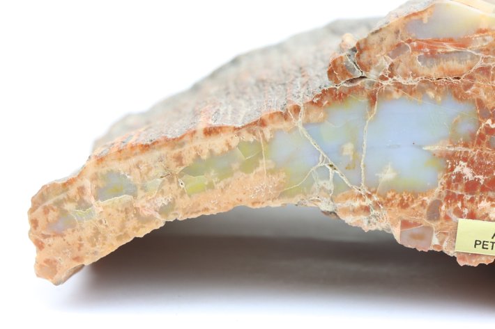 Image for Petrified Wood