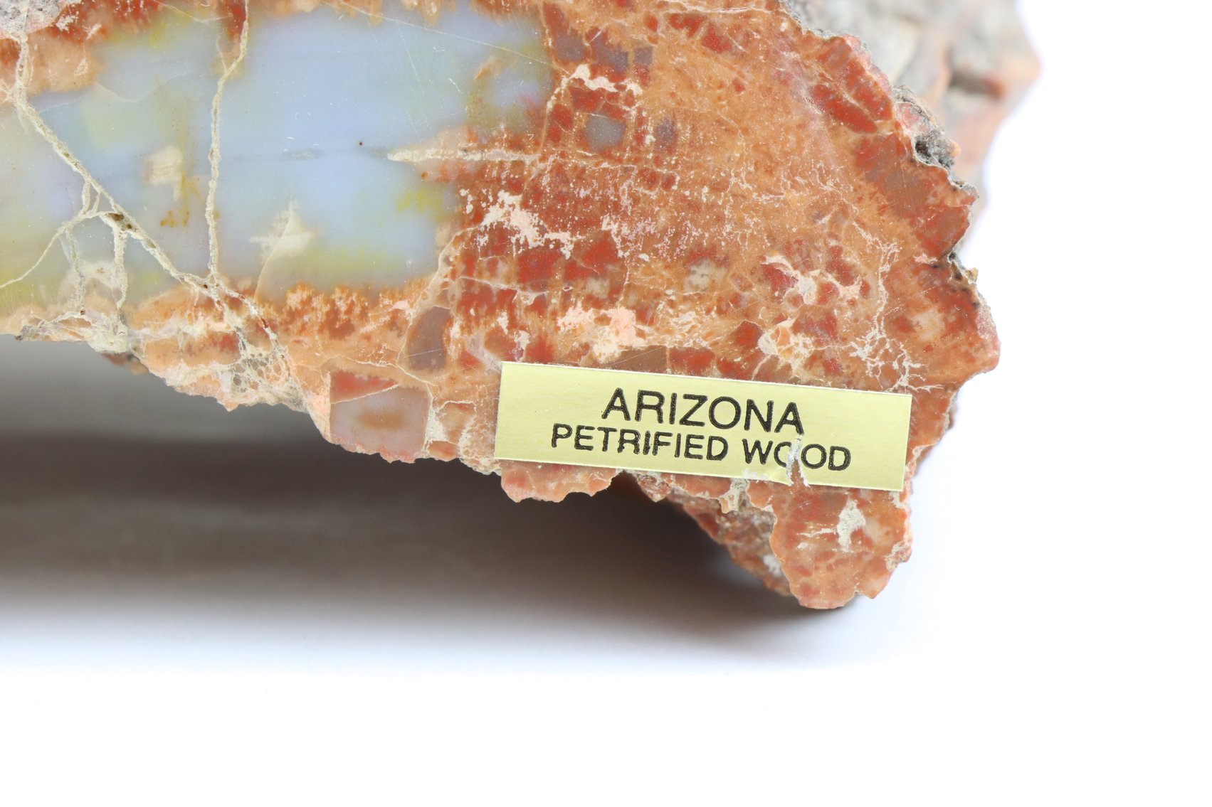 Image for Petrified Wood