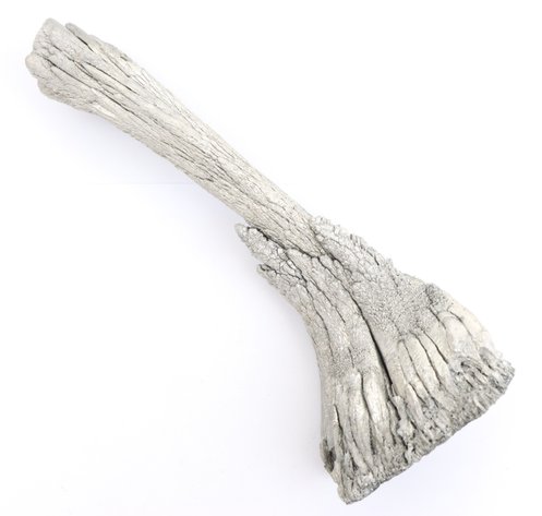 Image for Metallic Mineral Specimens