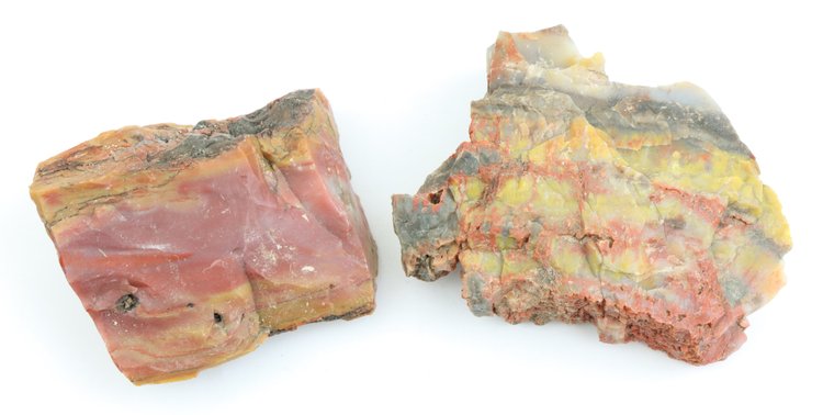 Image for Agate & Petrified Wood Assortment