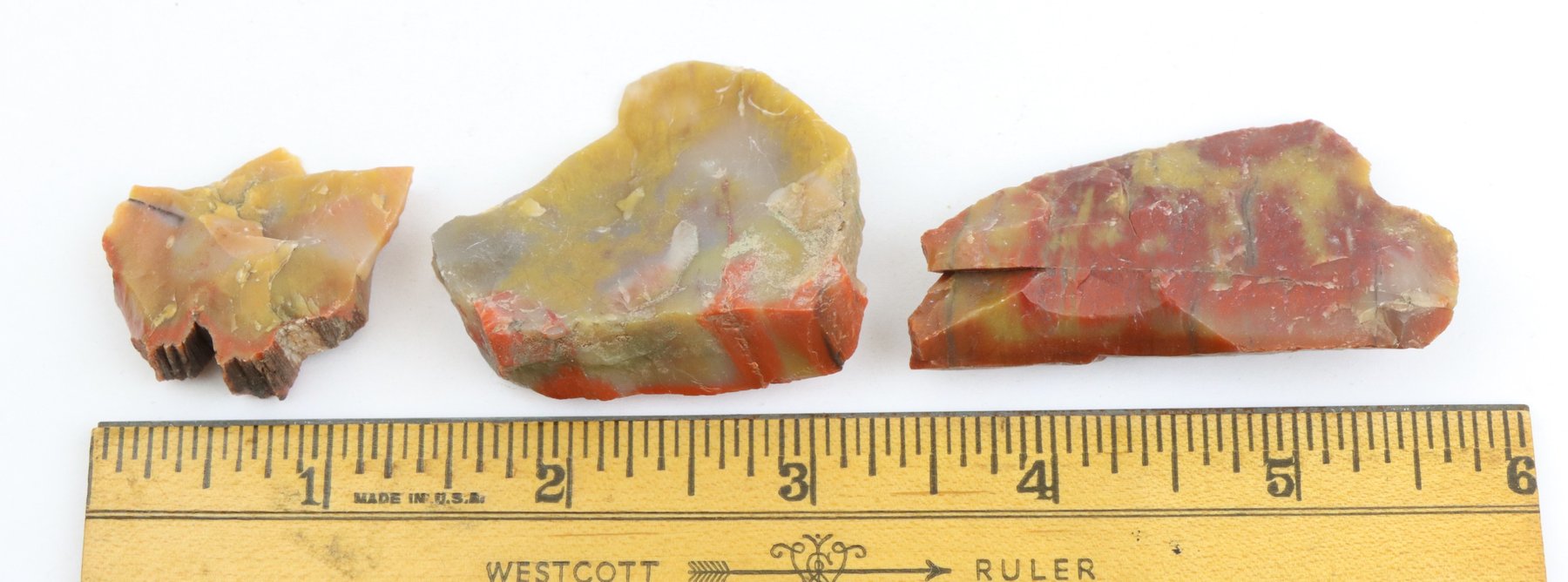 Image for Petrified Wood & Dinosaur Gembone