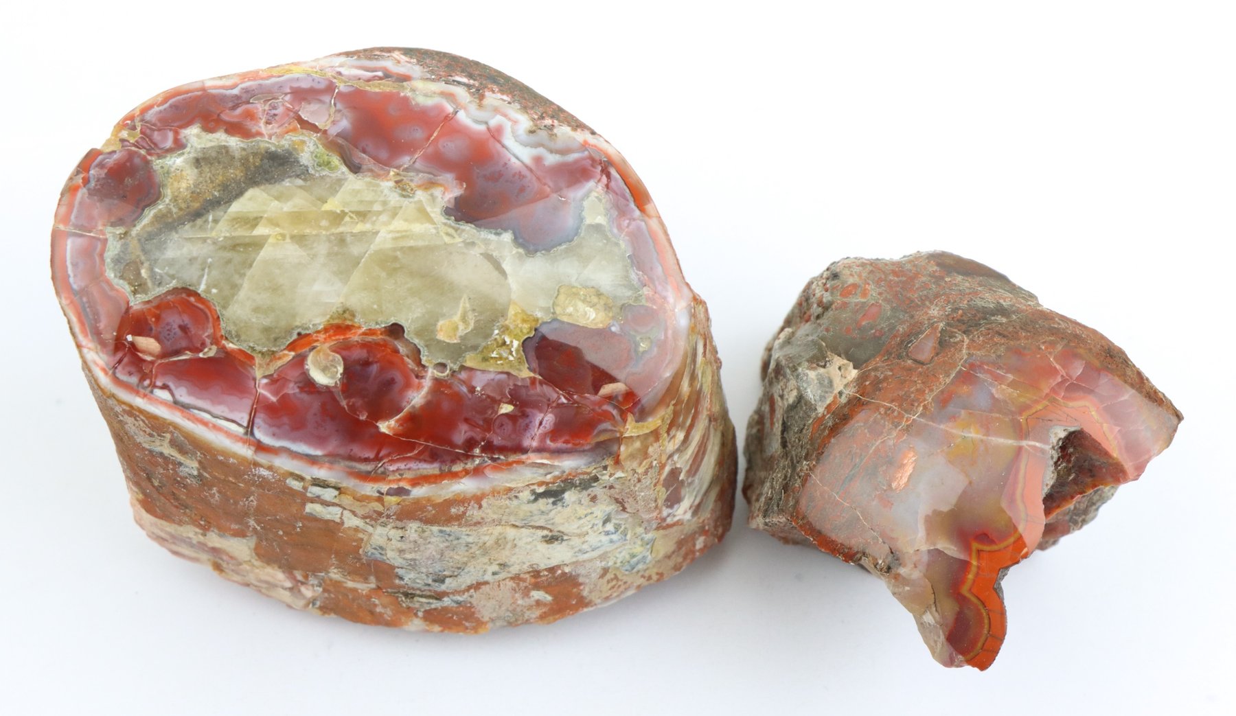 Image for Agate & Petrified Wood Assortment