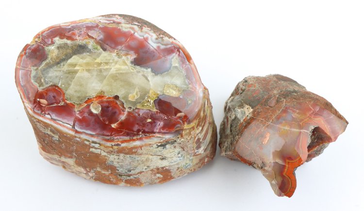 Image for Agate & Petrified Wood Assortment