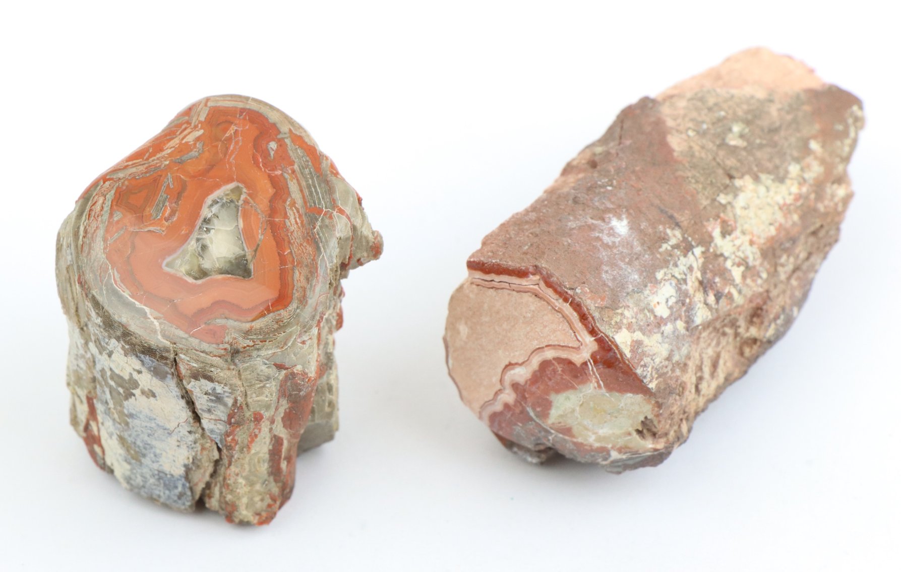 Image for Agate & Petrified Wood Assortment