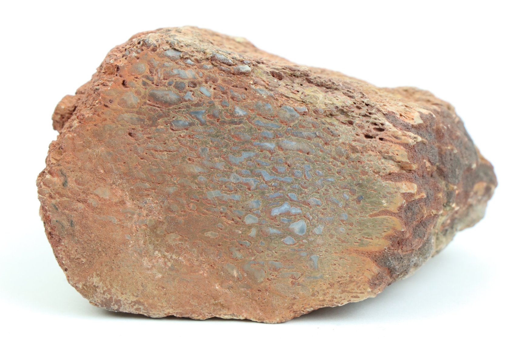 Image for Dinosaur Gembone