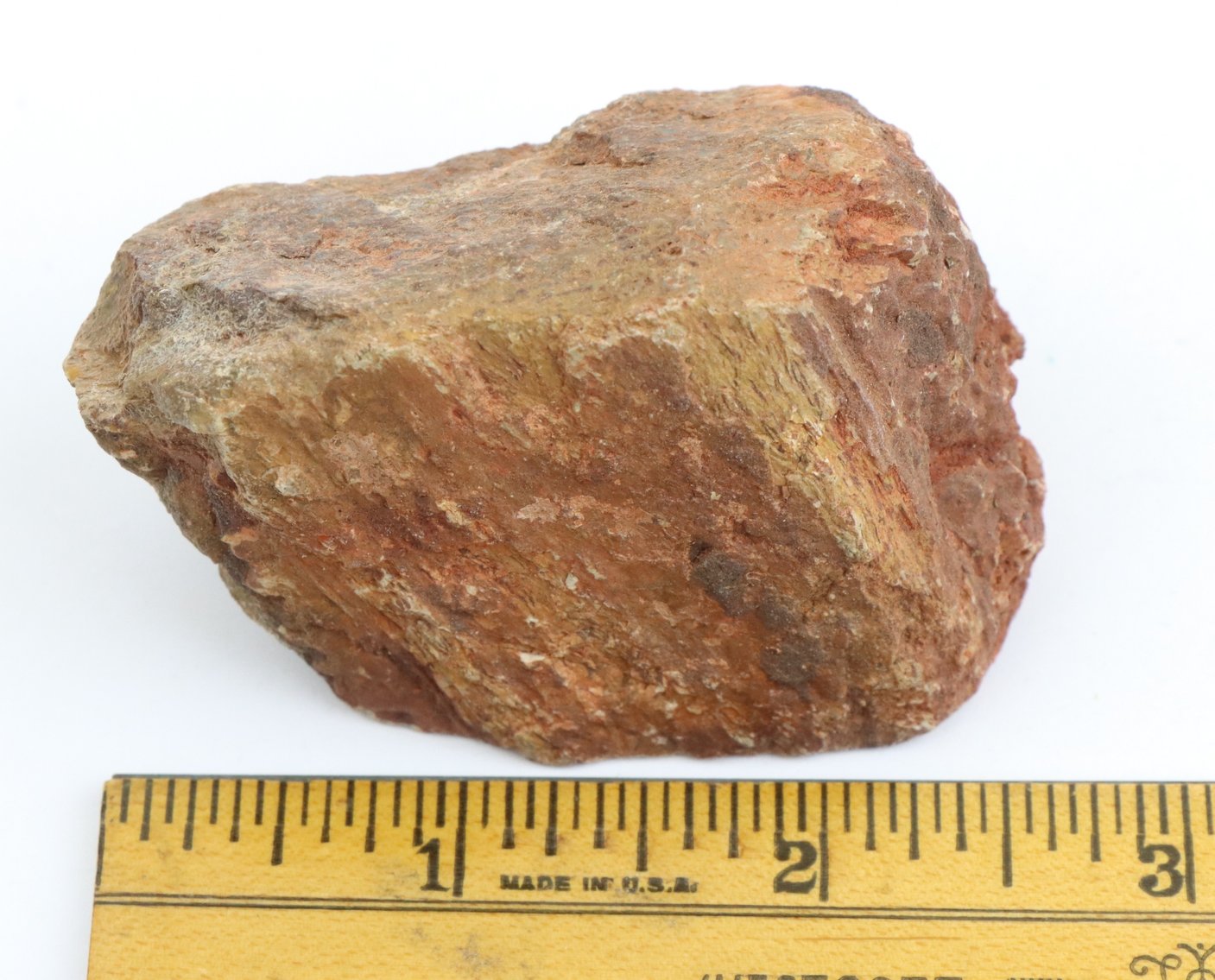 Image for Dinosaur Gembone