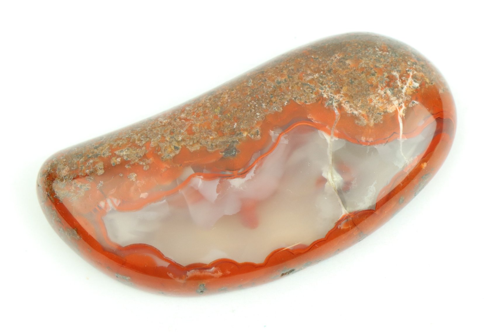 Image for Dinosaur Gembone