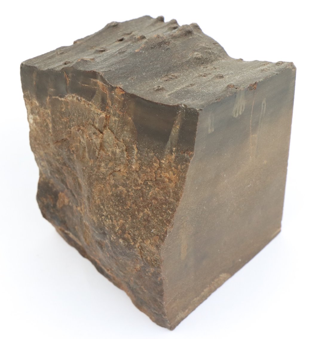 Image for Petrified Wood