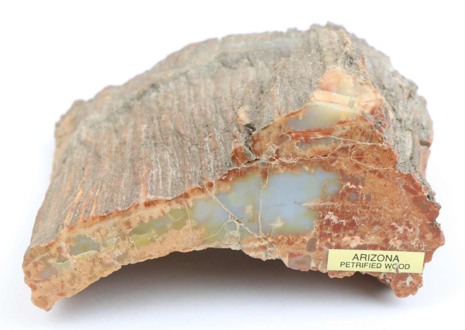 Image for Petrified Wood