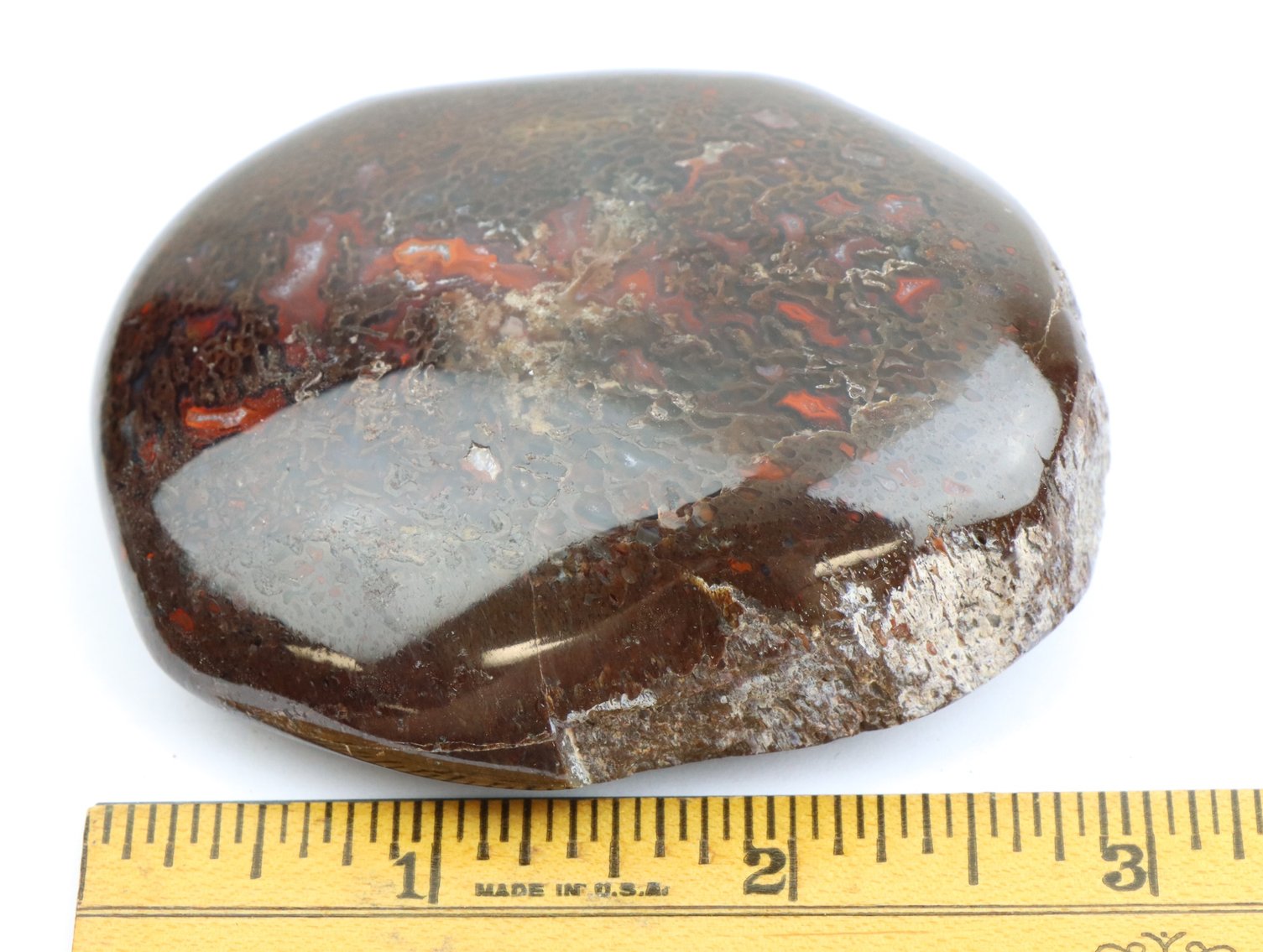 Image for Dinosaur Gembone