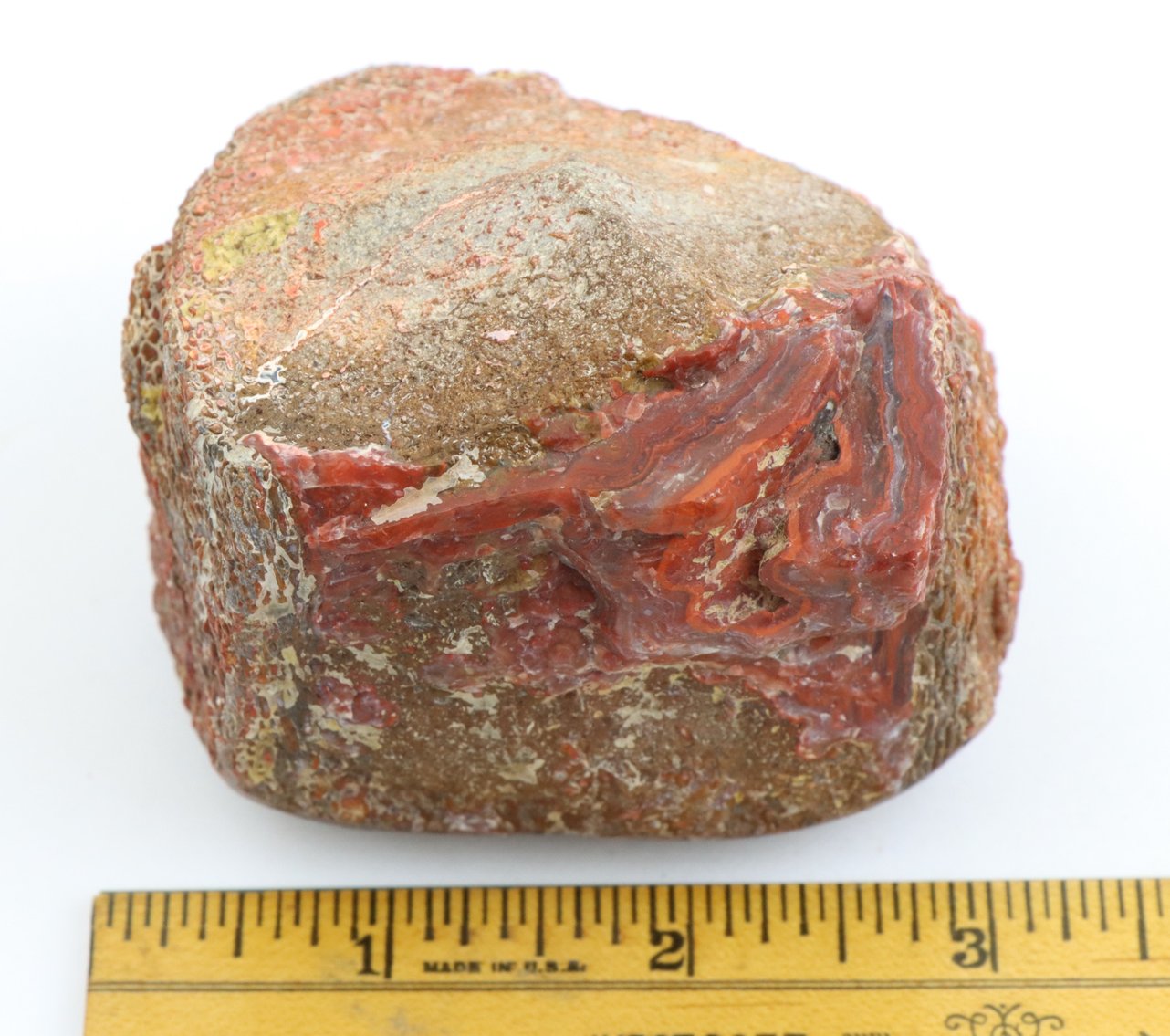 Image for Dinosaur Gembone