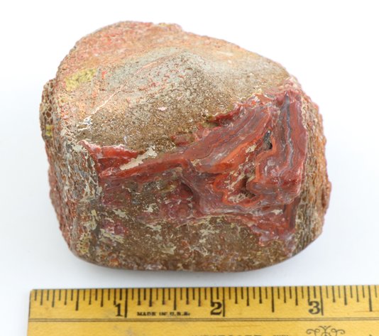 Image for Dinosaur Gembone