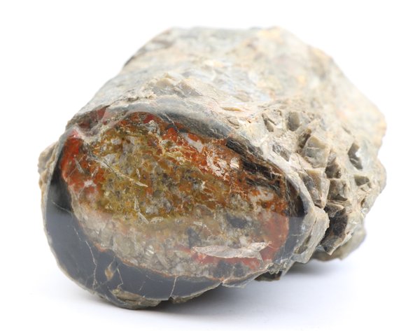 Image for Dinosaur Gembone