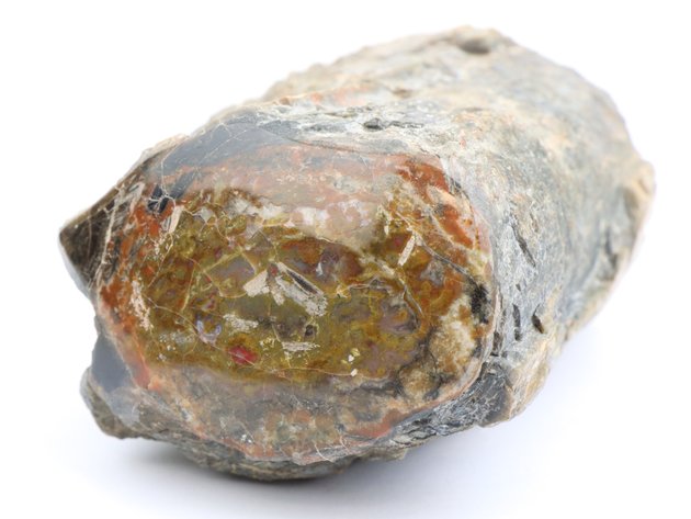Image for Dinosaur Gembone