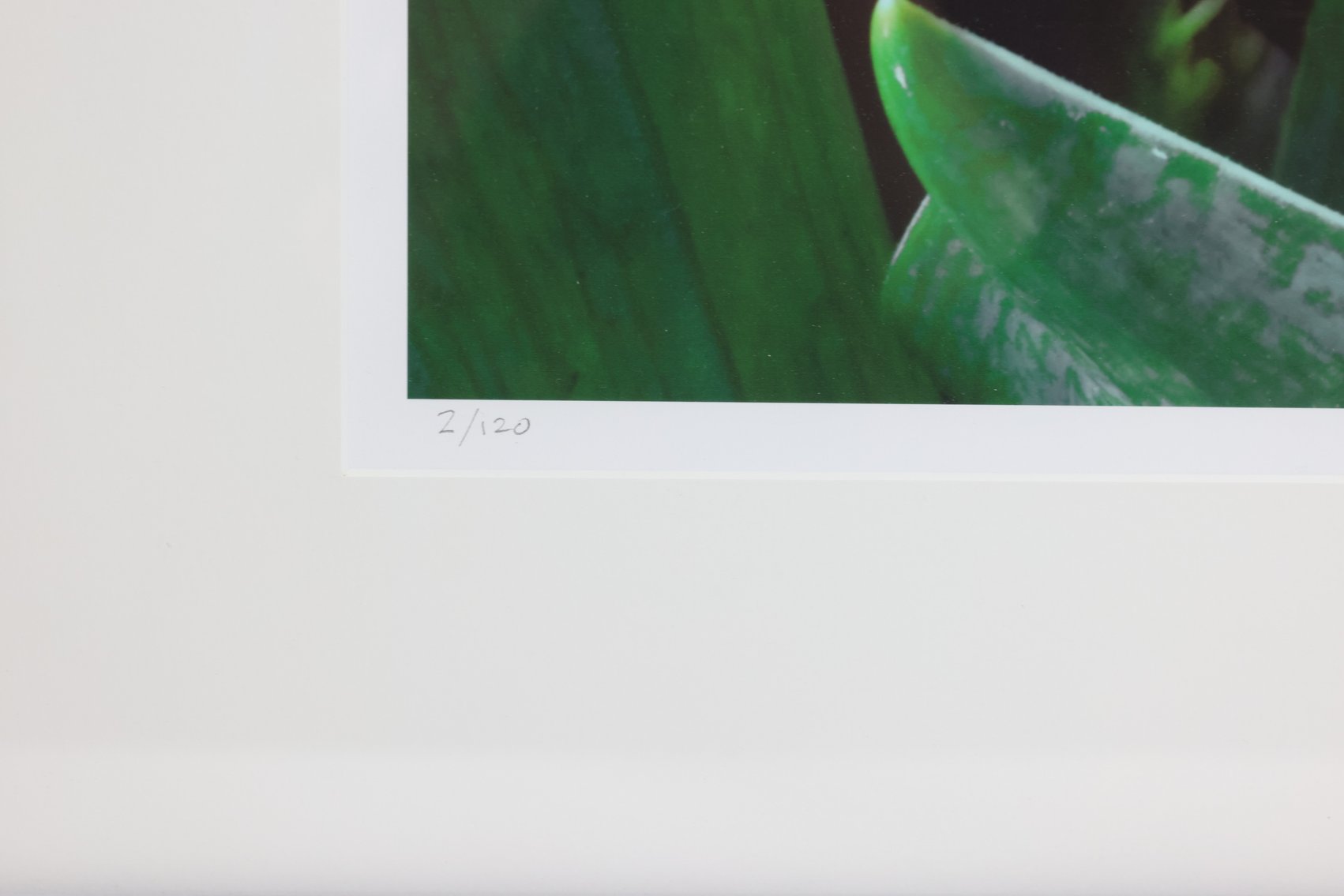 Image for Thomas (Tom) Stiltz (b. 1948)