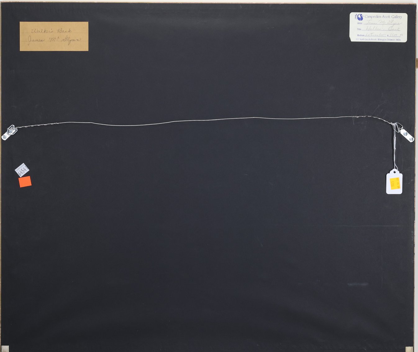 Image for W James McGlynn (Born 1944)