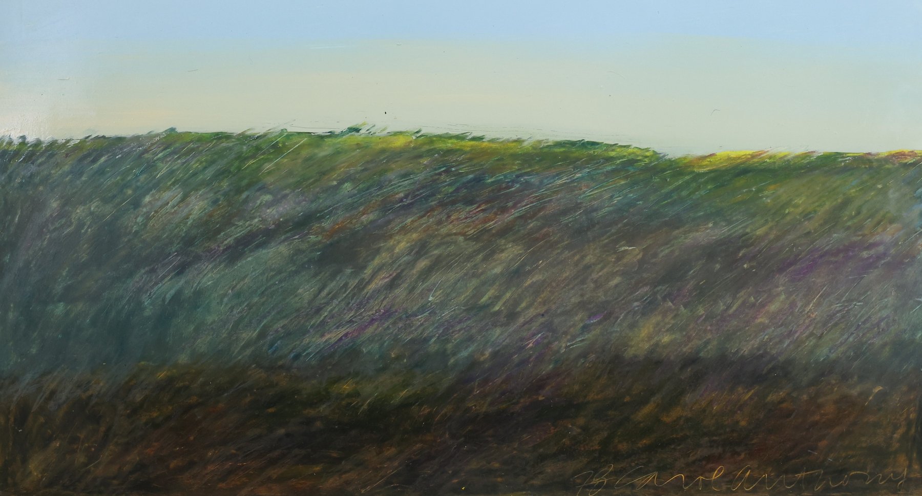Image for Carol Anthony (Born 1943)